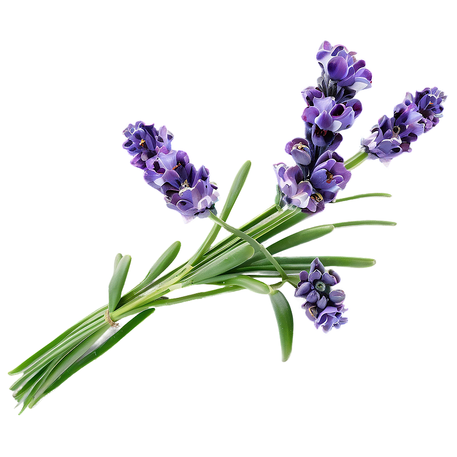 Lavender Floral Arrangement Png 06282024