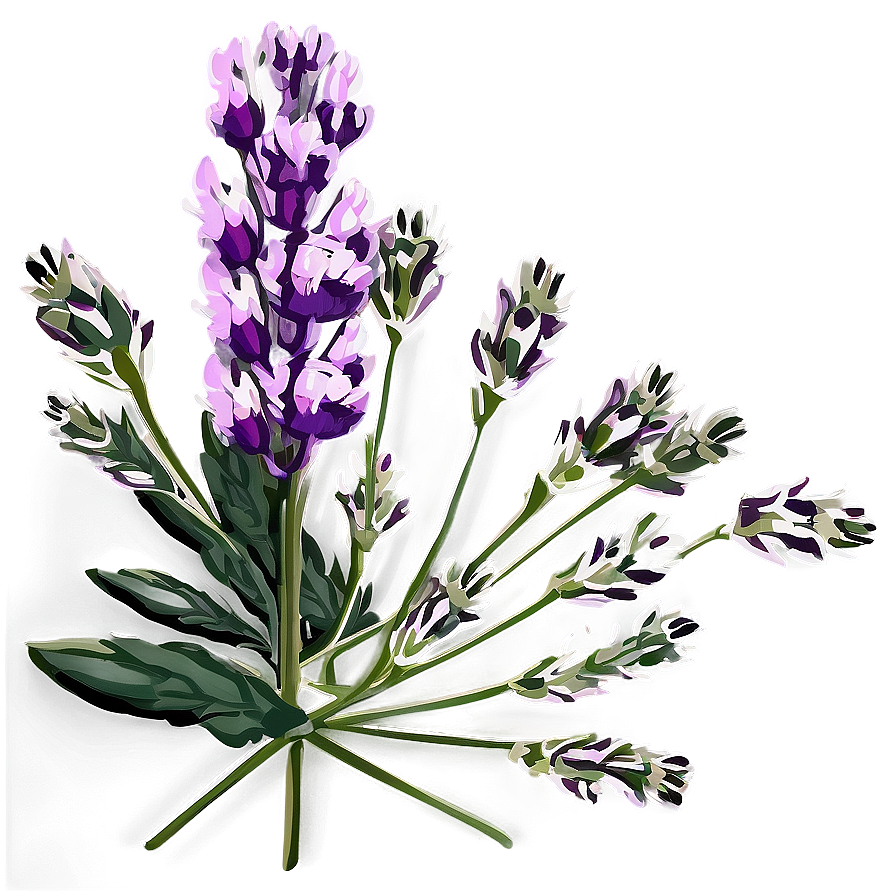 Lavender Floral Arrangement Png Sdg35