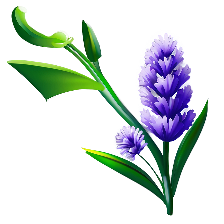 Lavender Flower Art Png 05252024