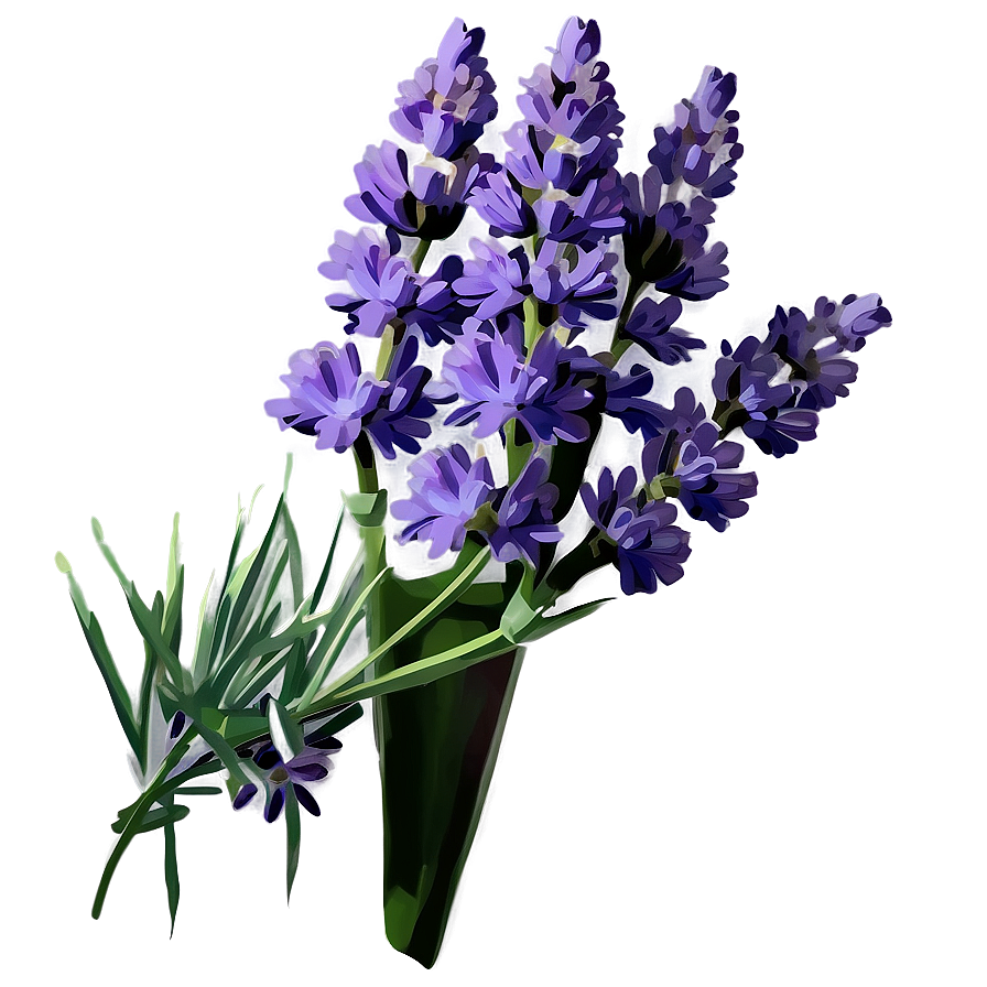 Lavender Flower PNG 05062024 PNG with transparent background