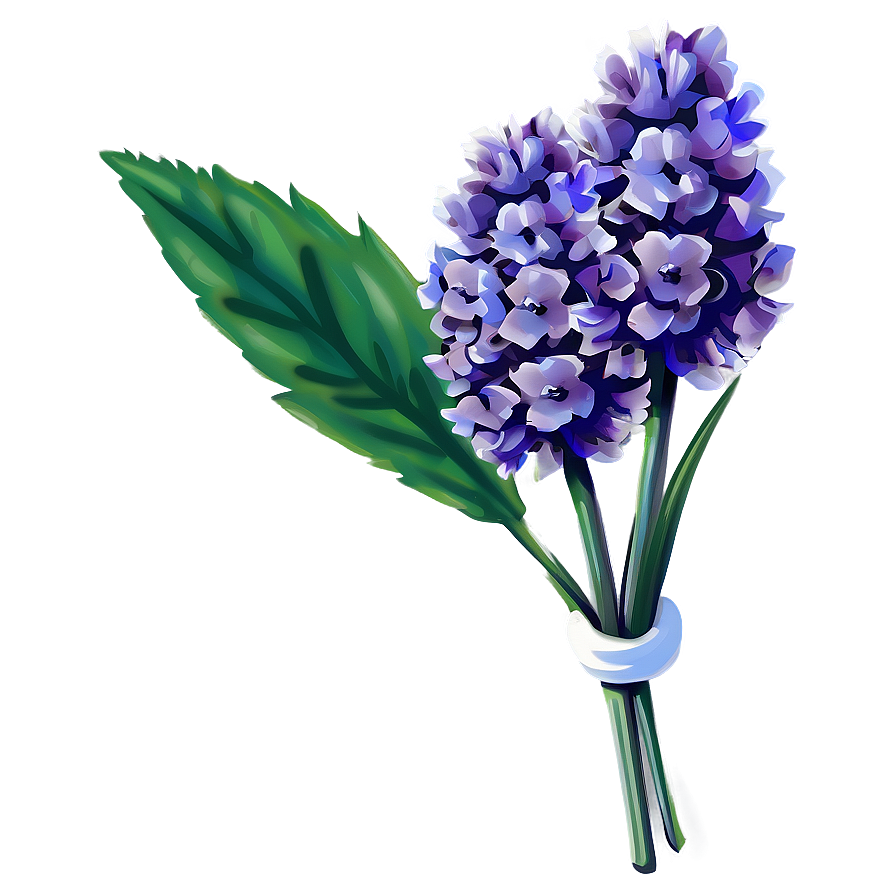 Lavender Flower PNG bjs25 PNG with transparent background