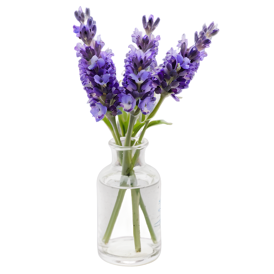 Lavender In Vase Png 98