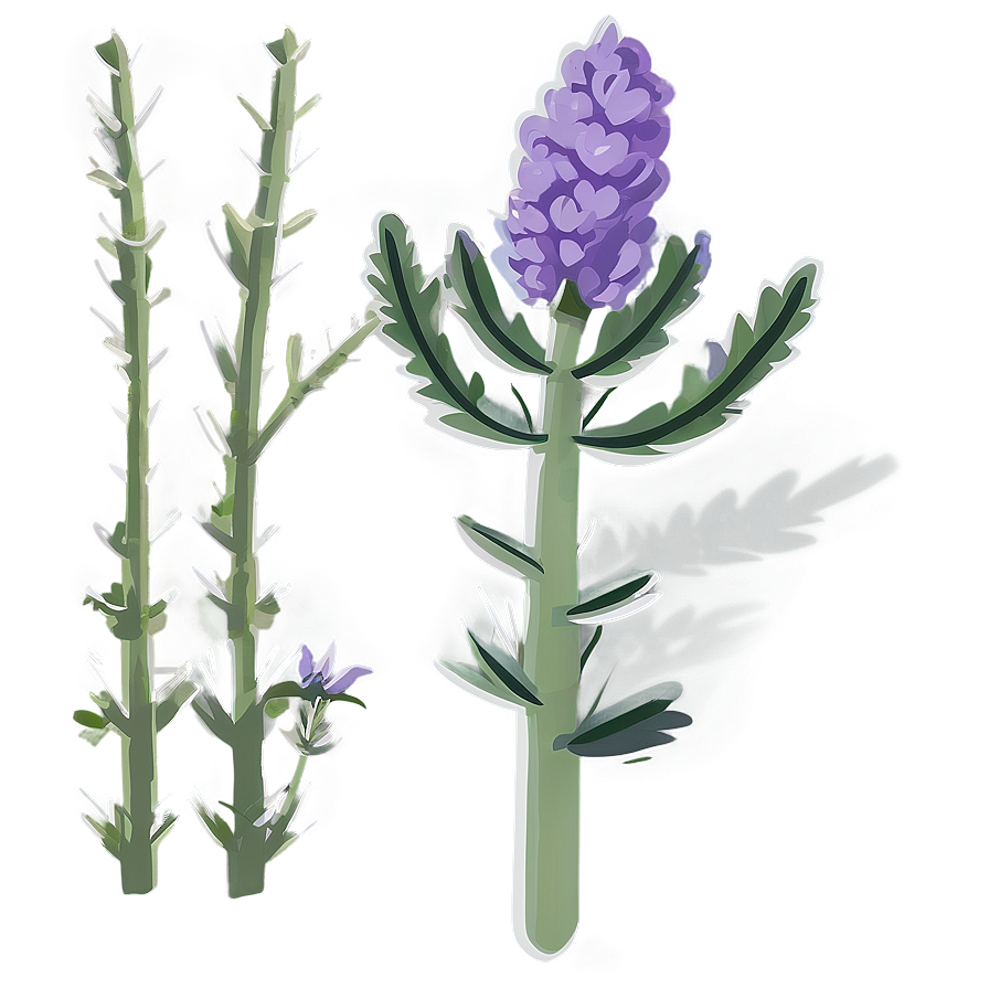 Lavender Plant Flat Design Png 64