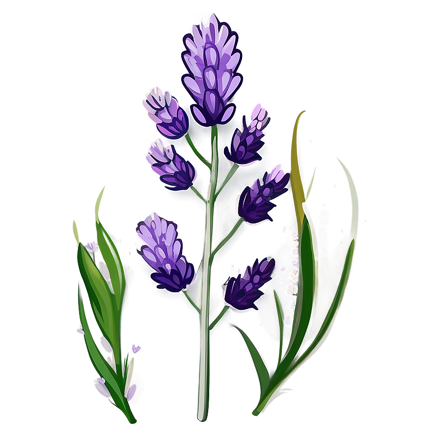 Lavender Plant Flat Design Png Bol9