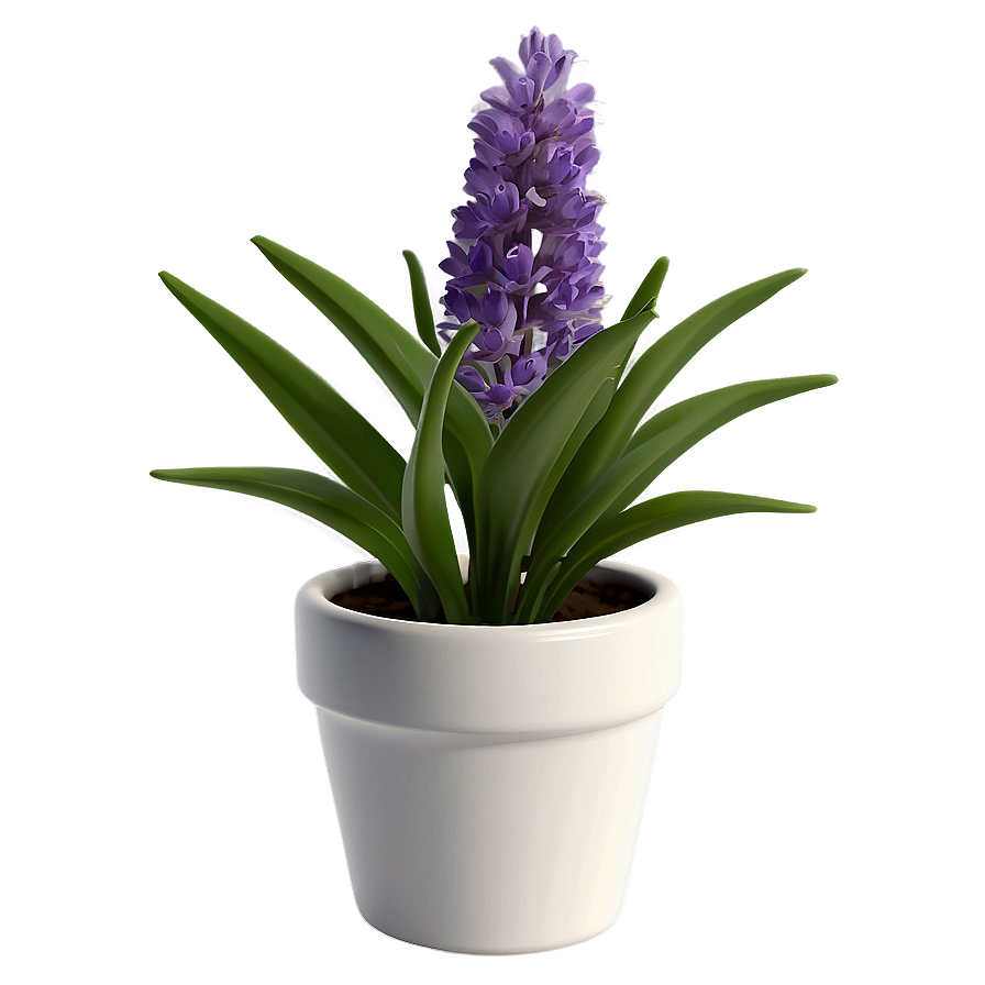 Lavender Plant In Pot Png Tqn16