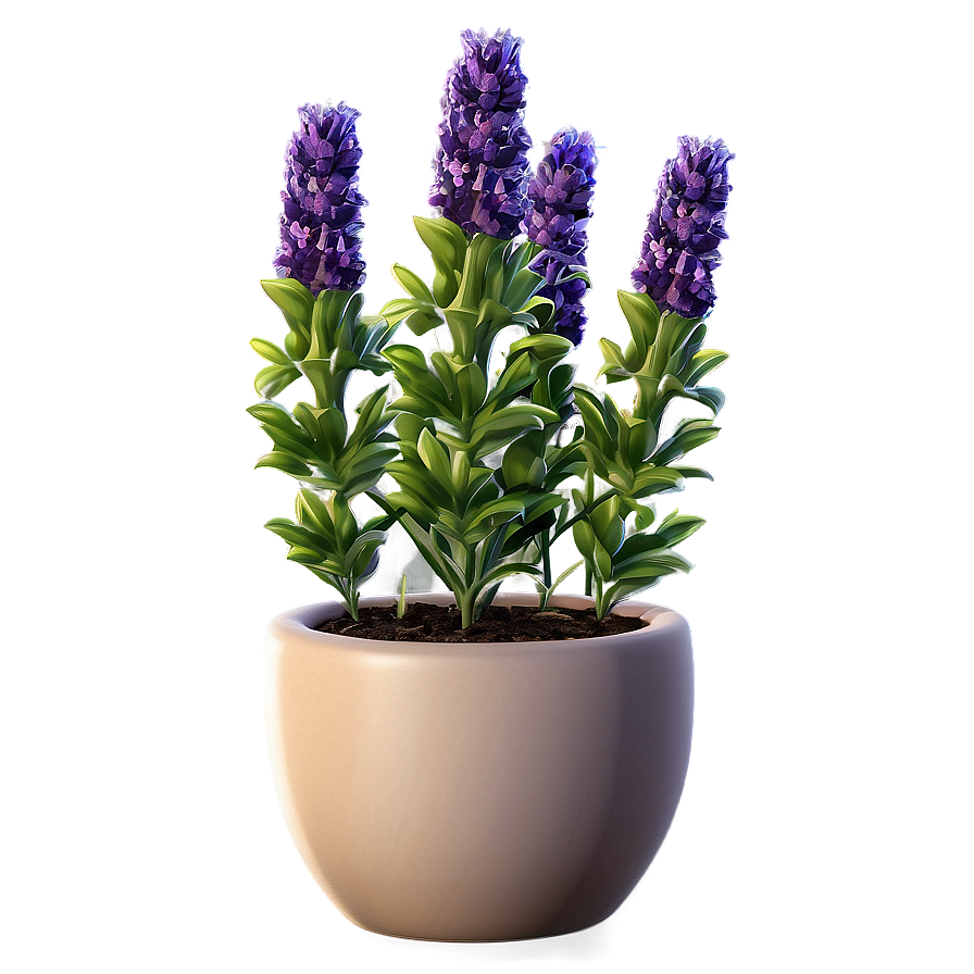 Lavender Plant In Pot Png Vjg