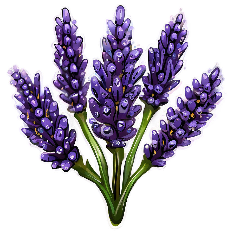 Lavender Plant With Dewdrops Png 06282024