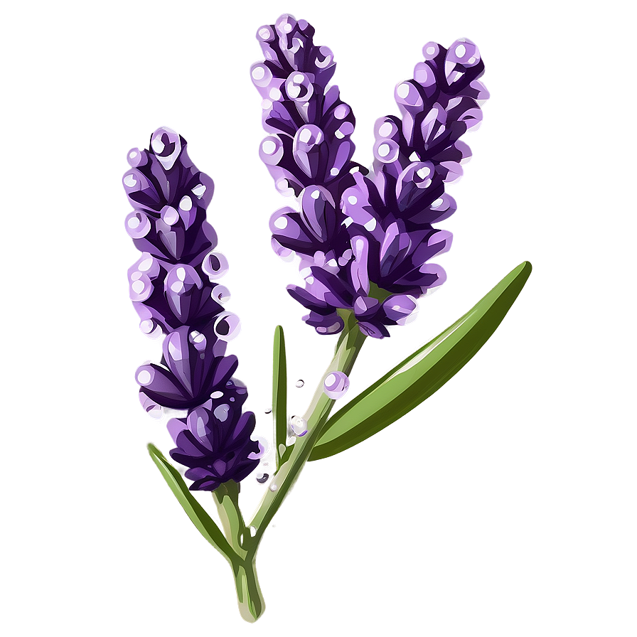 Lavender Sprig Water Droplets Png Wff