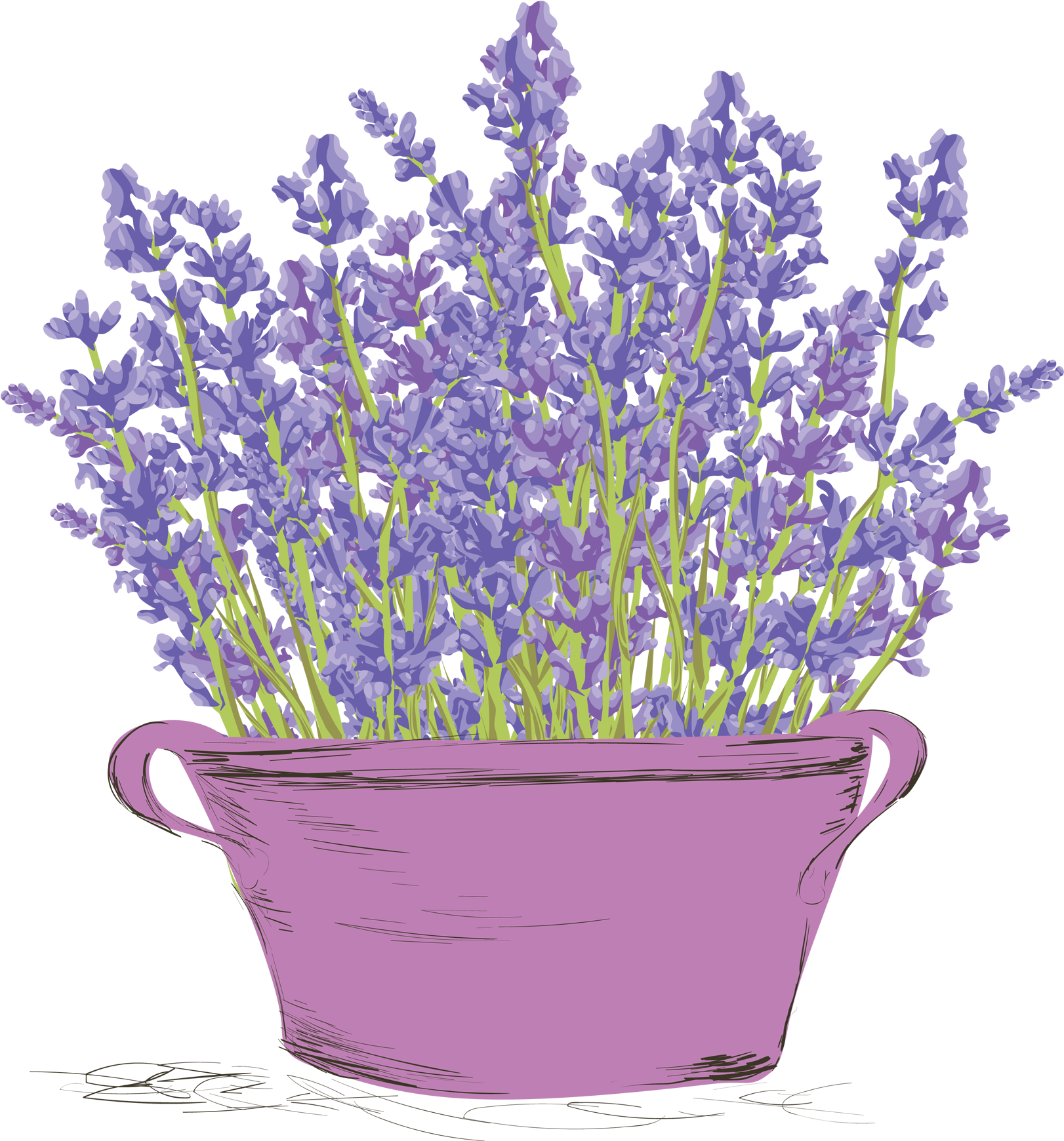 Lavenderin Pink Basin PNG with transparent background