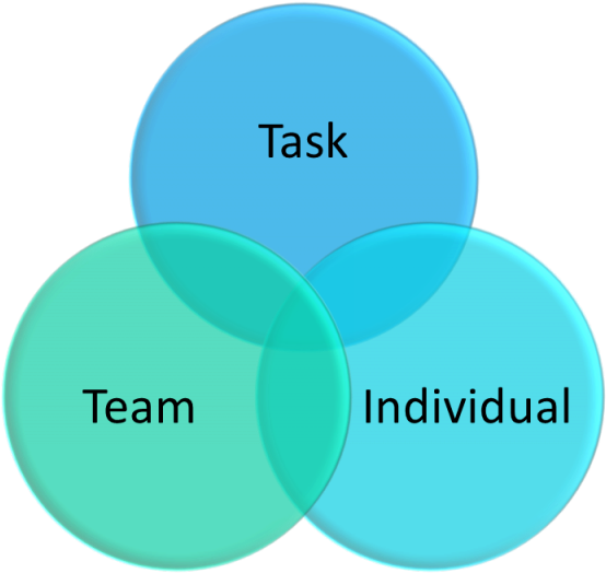 Leadership Team Task Individual Venn Diagram PNG with transparent background