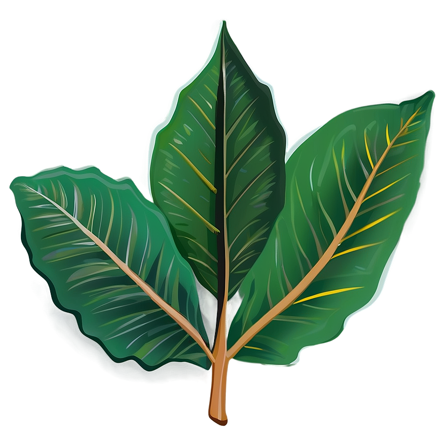 Leaf Cartoon Png Fge4