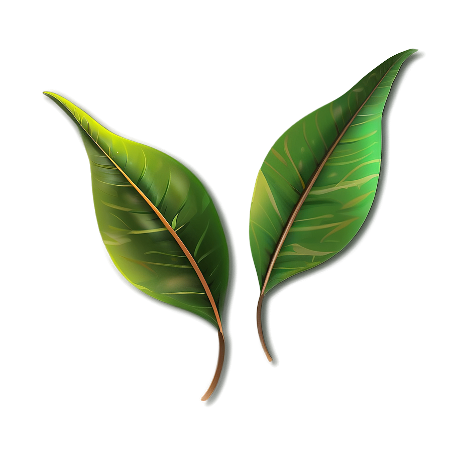 Leaf Design Png Ljn