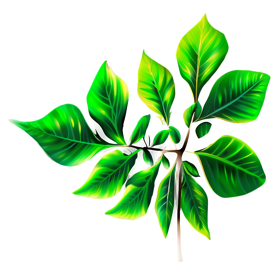 Leaf Design Png Quh90