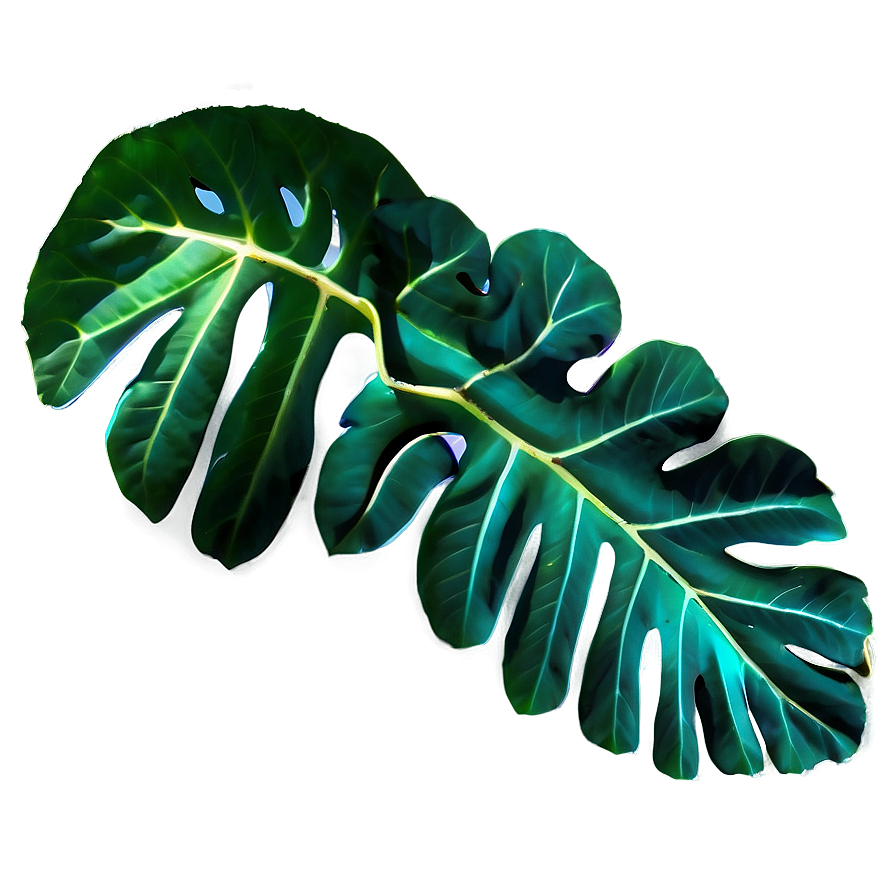 Leaf Outline Png Fte