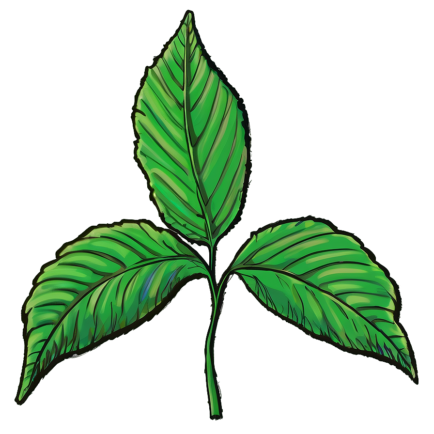 Leaf Sketch Png Dmc