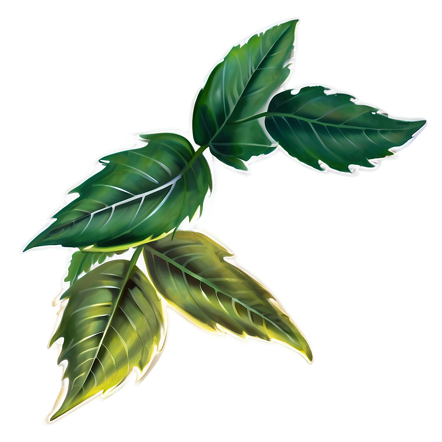 Leaf Spray Png Hqe