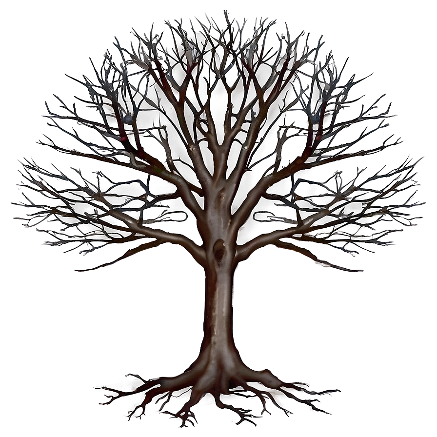 Leafless Tree Image Png 06282024