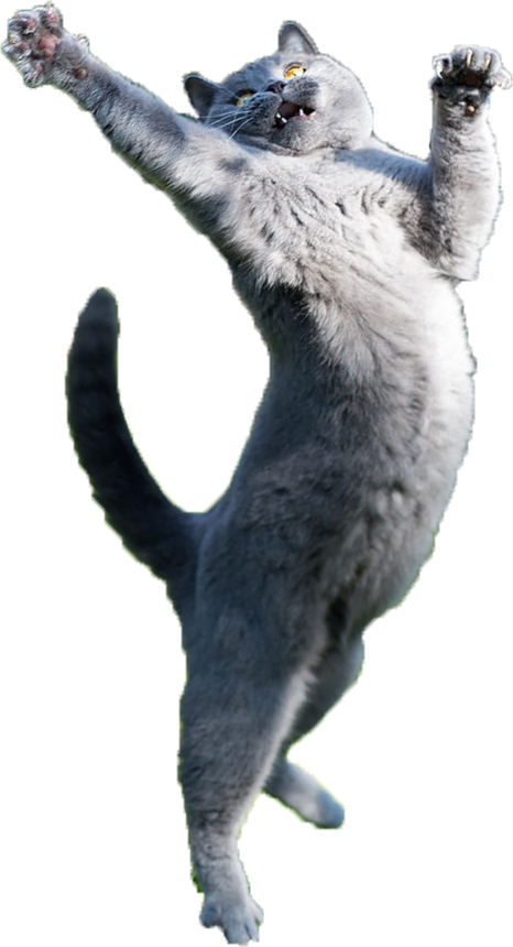Clip Art Just Some Fabulous Cats - Cat Jumping Transparent Background, HD Png Download PNG with transparent background