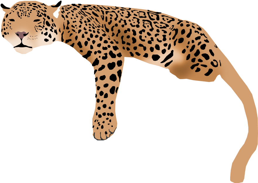 Leaping Jaguar Illustration