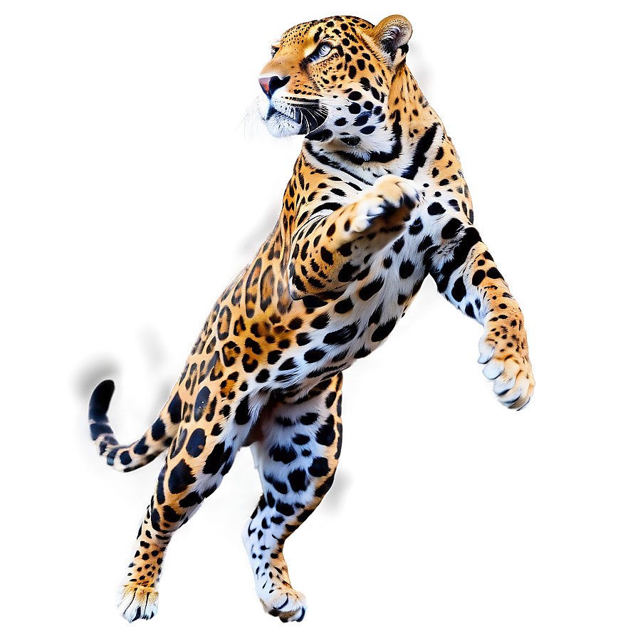 Leaping Jaguar Png 46