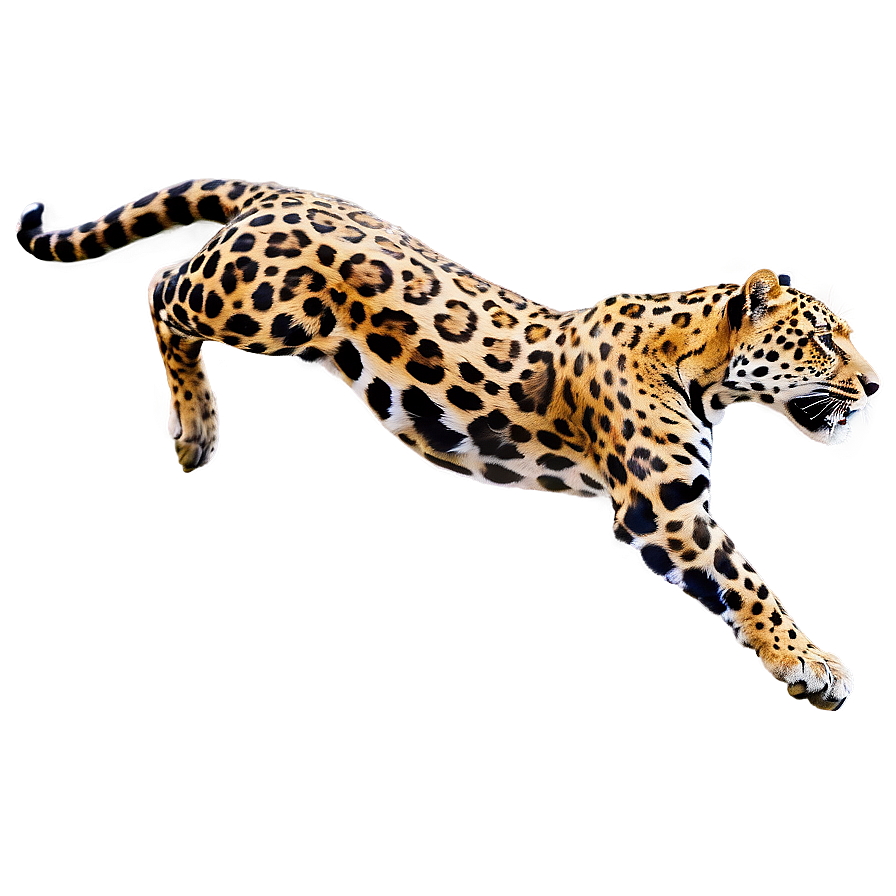 Leaping Jaguar Png 46