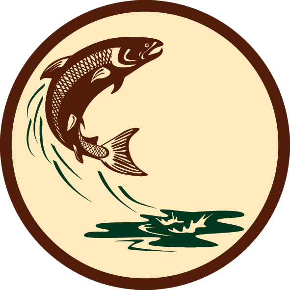 Leaping Salmon Graphic