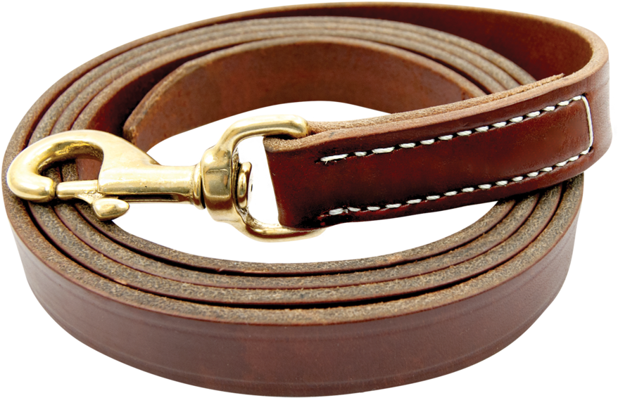 Leather Beltwith Gold Tone Hook Buckle