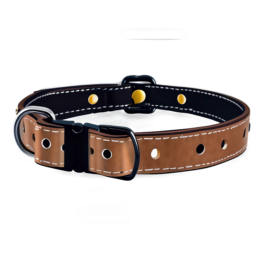Leather Dog Collar PNG bax PNG with transparent background