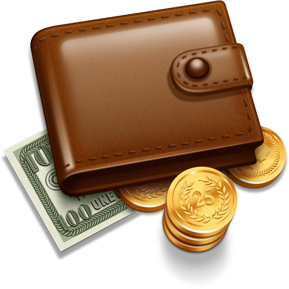 Leather Wallet Cash Coins Icon