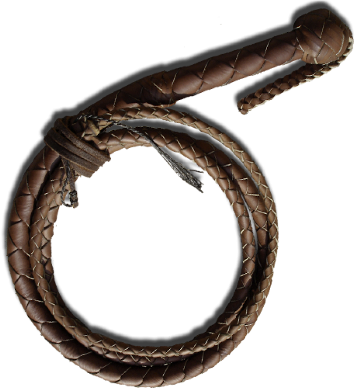 Whip Png Image, Transparent Png PNG with transparent background