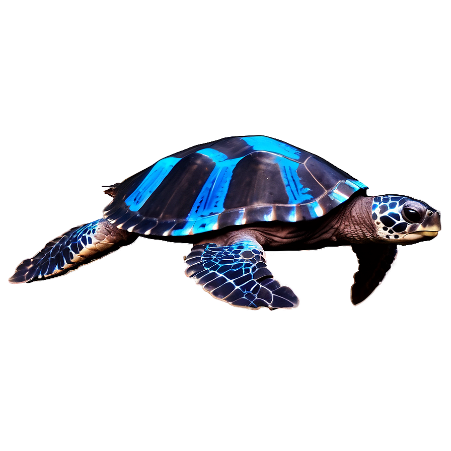 Leatherback Turtle Ocean Journey Png Kmb