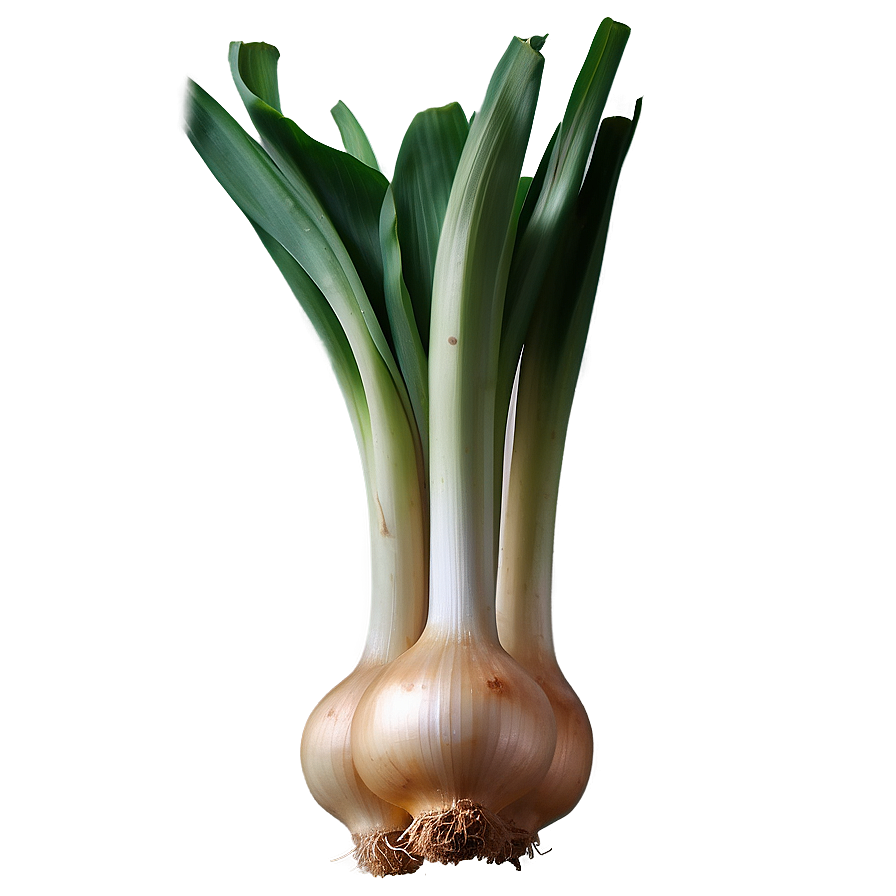 Leek Onion Png Gpy