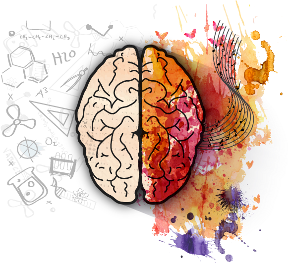 Left Brain Right Brain Creativity PNG with transparent background