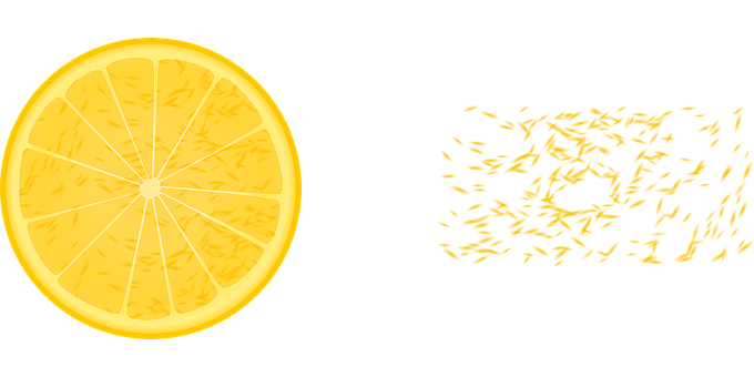 Lemon Sliceand Reflection PNG with transparent background