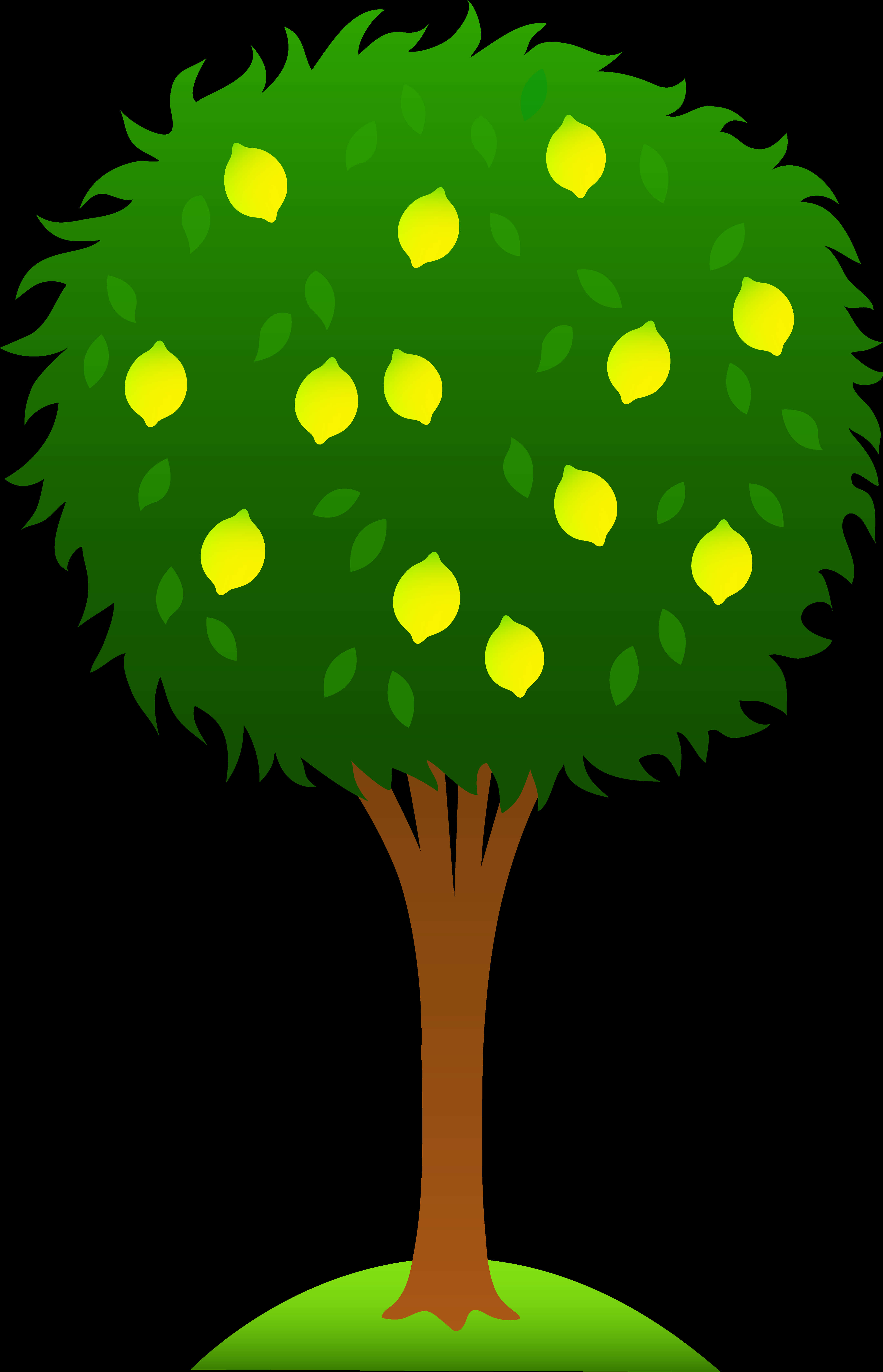 Cartoon Tree Clipart Pinterest - Lemon Tree Clip Art PNG with transparent background