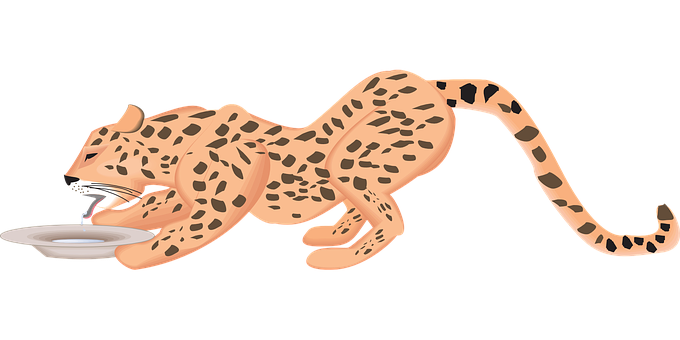 Leopard Drinking Milk Illustration