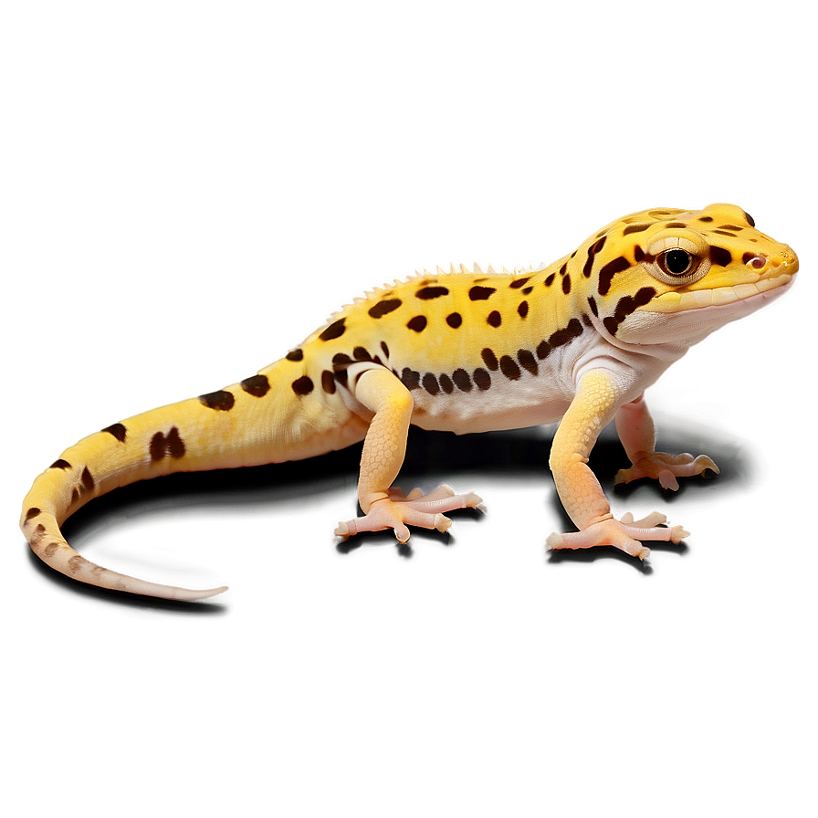 Leopard Gecko Png 52