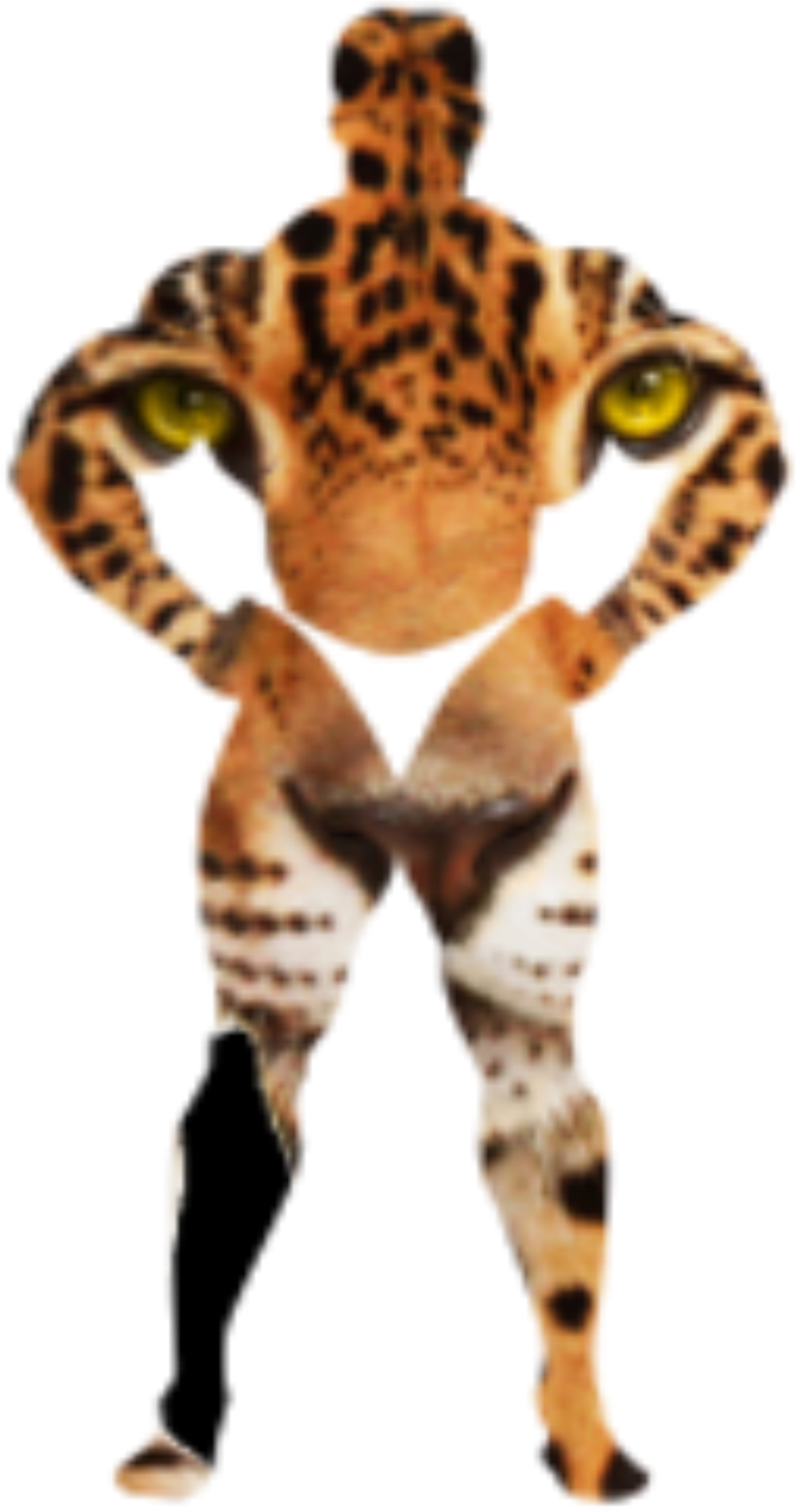 Leopard In The Body Of A Man Clip Arts - Leopard Tiger Lion Cheetah, HD Png Download PNG with transparent background