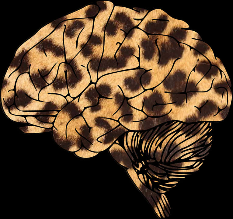 Leopard Print Brain Illustration PNG with transparent background