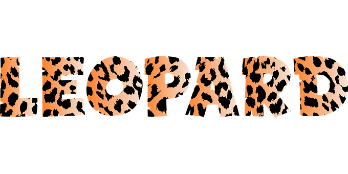 Leopard Print Text Design PNG with transparent background