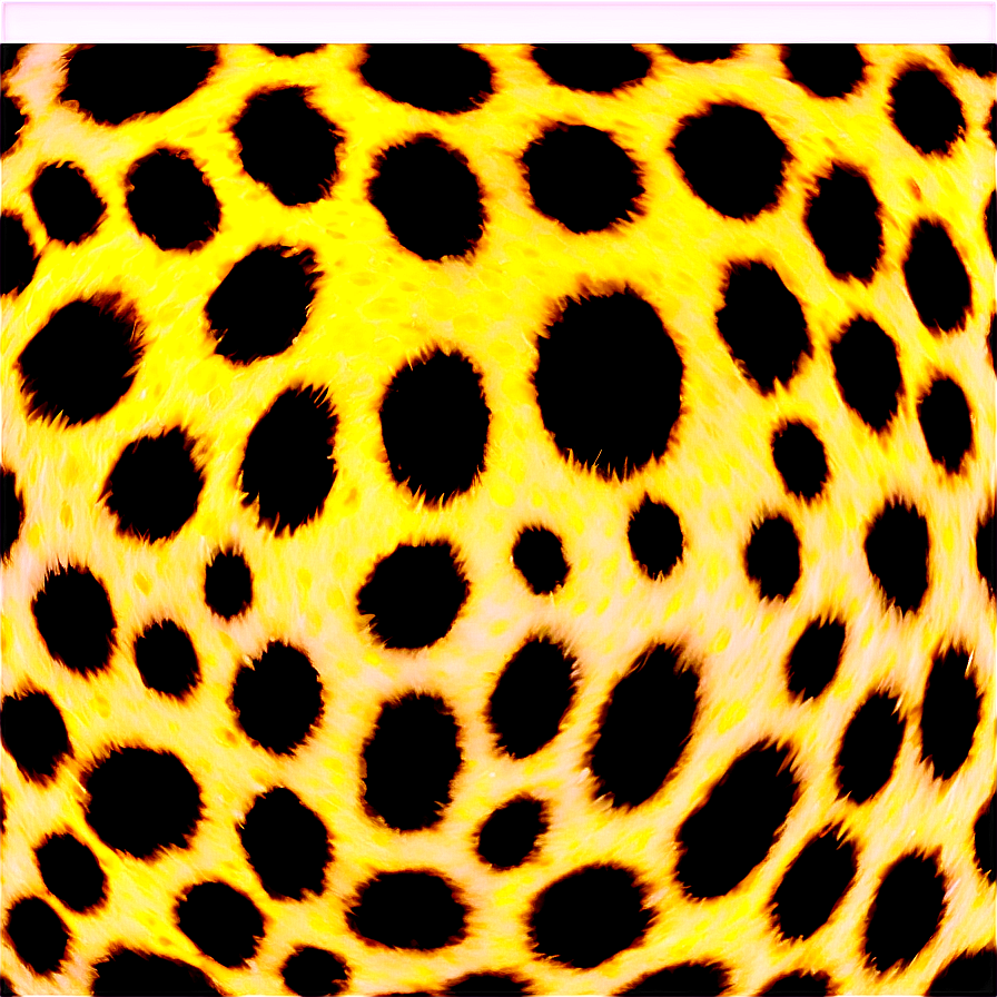 Leopard Spots C