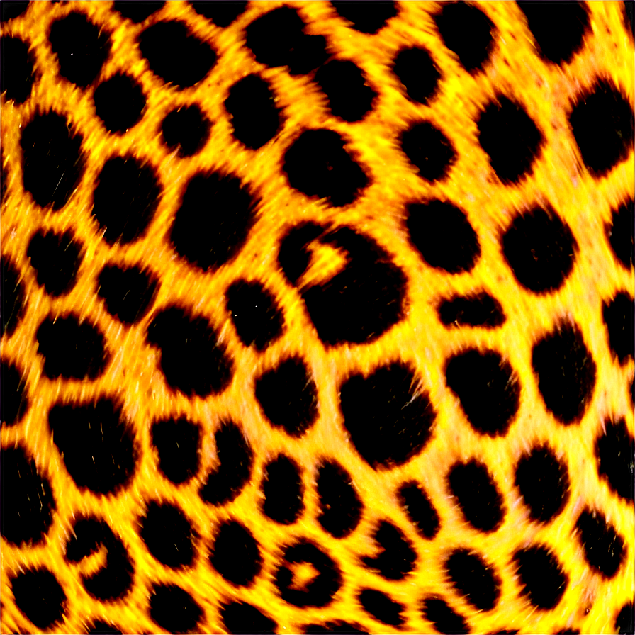 Leopard Spots Png 06272024