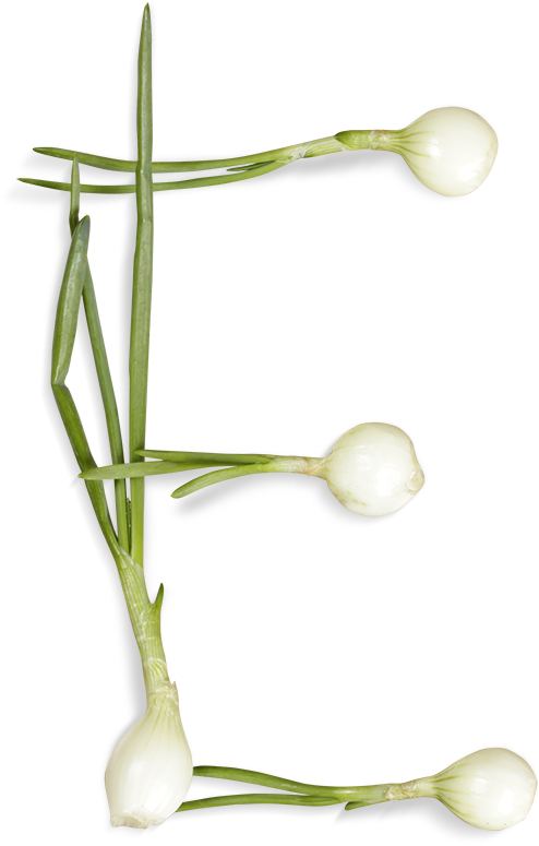 Letter E Formedby Spring Onions