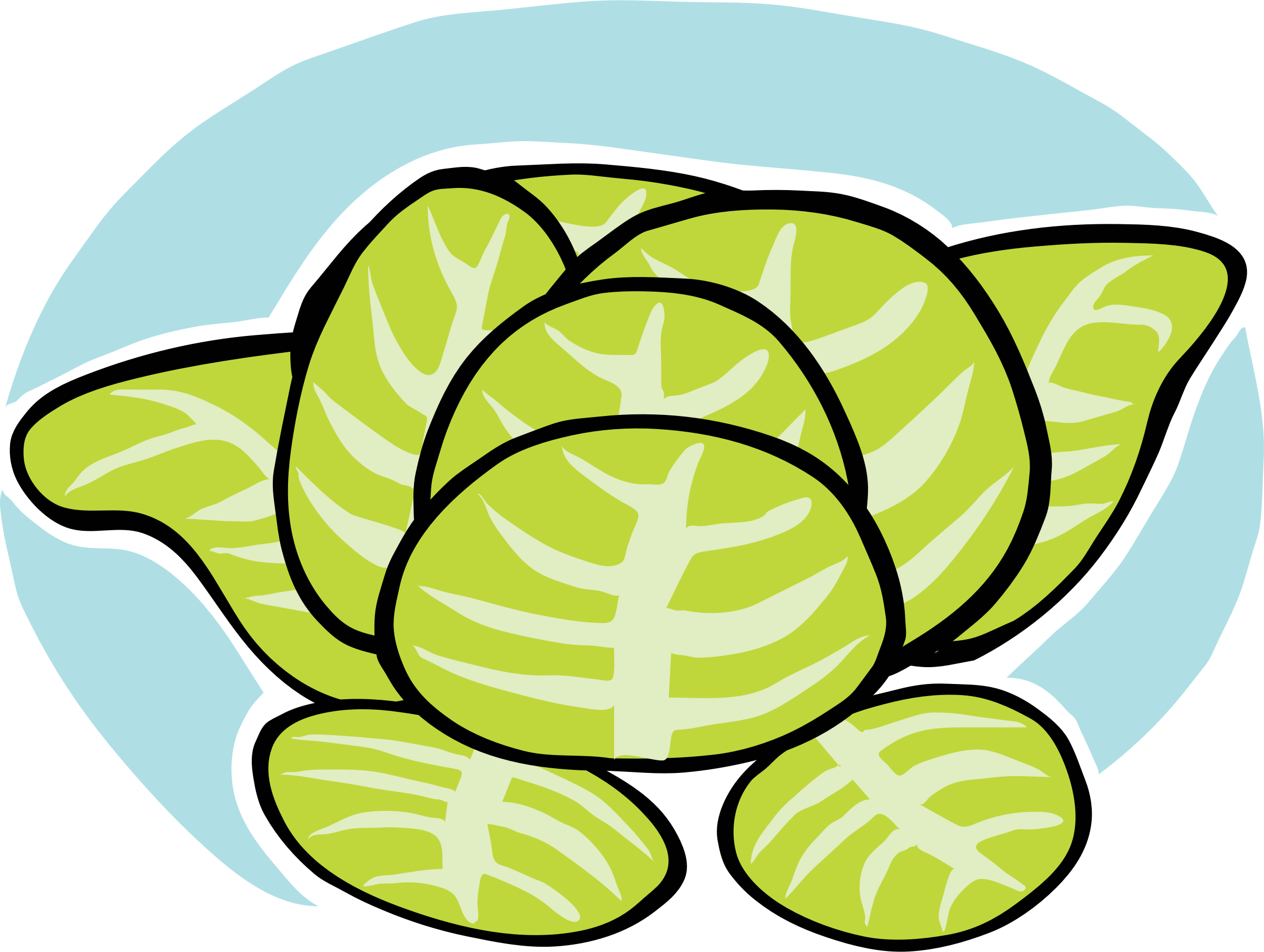 Iceberg Lettuce - Lettuce Clip Art, HD Png Download PNG with transparent background