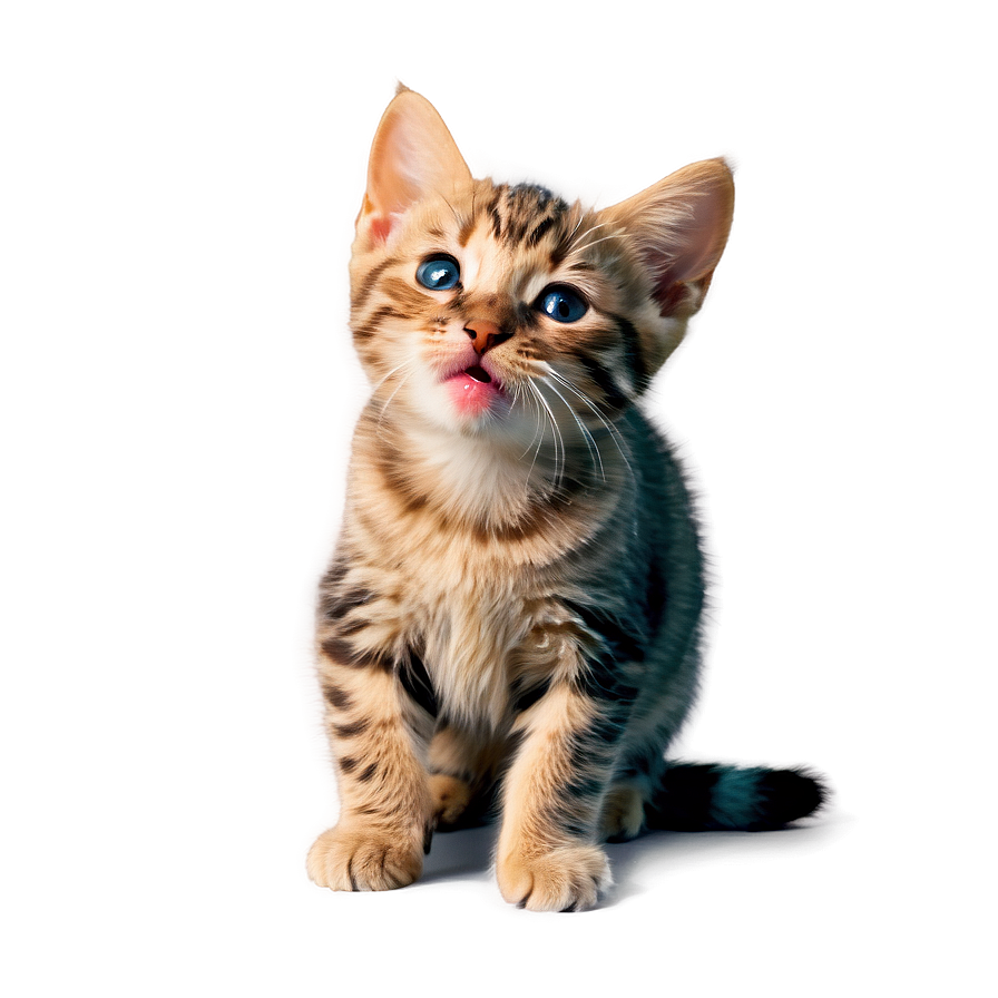 Licking Cat Cute Png A