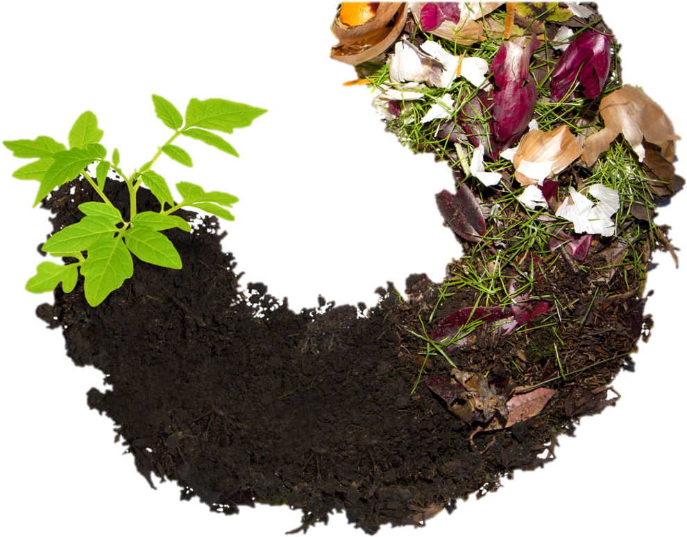 Life Cycleof Soiland Compost