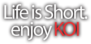 Lifeis Short Enjoy K O I Slogan PNG with transparent background