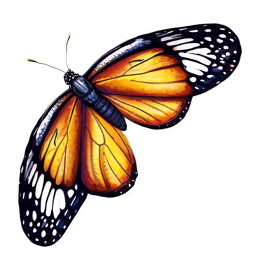 Lifelike Butterfly Png Amg