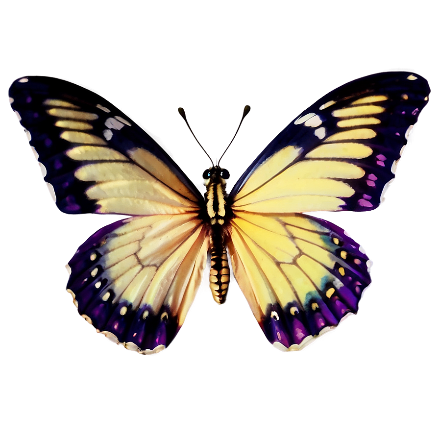 Light Purple Butterfly Png 94