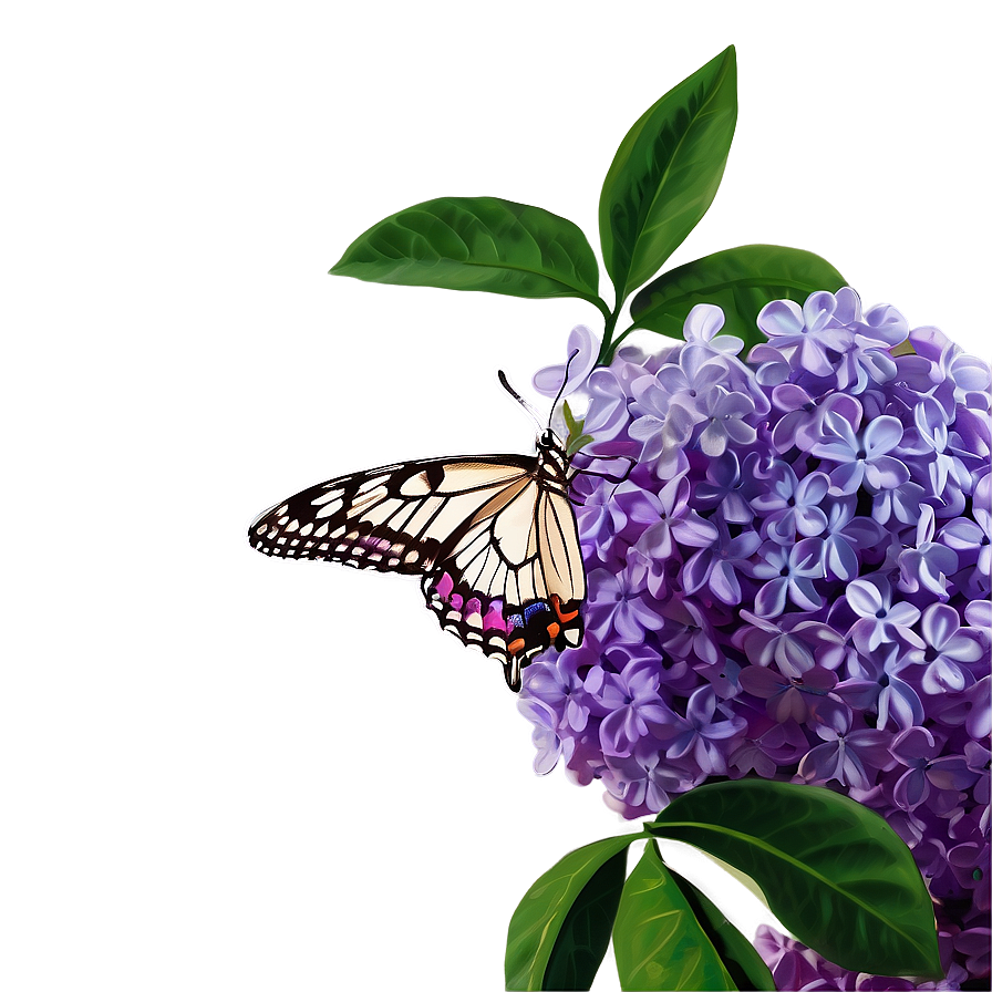 Lilac Butterfly Png Etd72